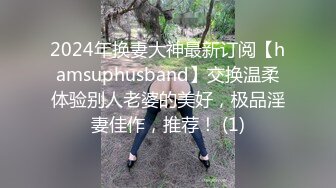 2024年换妻大神最新订阅【hamsuphusband】交换温柔体验别人老婆的美好，极品淫妻佳作，推荐！ (1)