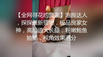 【全网寻花约良家】泡良达人，探探最新猎物，极品良家女神，高颜值大长腿，粉嫩鲍鱼抽插，视角效果满分