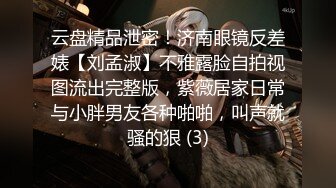 云盘精品泄密！济南眼镜反差婊【刘孟淑】不雅露脸自拍视图流出完整版，紫薇居家日常与小胖男友各种啪啪，叫声就骚的狠 (3)