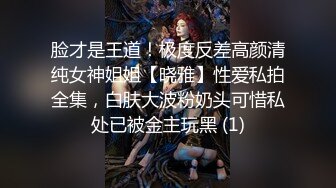 脸才是王道！极度反差高颜清纯女神姐姐【晓雅】性爱私拍全集，白肤大波粉奶头可惜私处已被金主玩黑 (1)