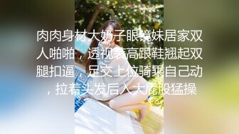 肉肉身材大奶子眼镜妹居家双人啪啪，透视装高跟鞋翘起双腿扣逼，足交上位骑乘自己动，拉着头发后入大屁股猛操