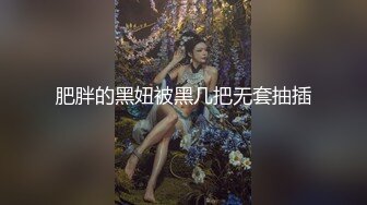 肥胖的黑妞被黑几把无套抽插