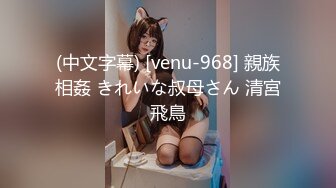 (中文字幕) [venu-968] 親族相姦 きれいな叔母さん 清宮飛鳥