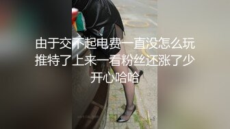 由于交不起电费一直没怎么玩推特了上来一看粉丝还涨了少开心哈哈