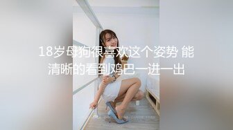 18岁母狗很喜欢这个姿势 能清晰的看到鸡巴一进一出