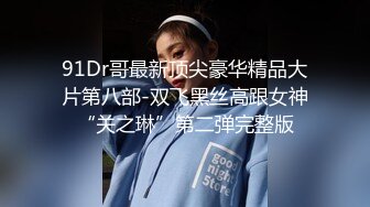 91Dr哥最新顶尖豪华精品大片第八部-双飞黑丝高跟女神“关之琳”第二弹完整版