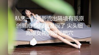 私房一月最新流出隔墙有眼原创厕拍 貌似被发现了 尖头细高跟女神的微毛肥穴