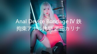 Anal Device Bondage IV 鉄拘束アナル拷問 西田カリナ