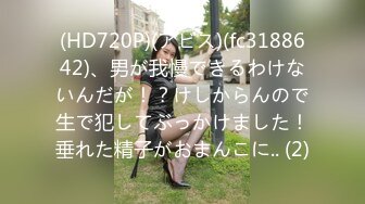 (HD720P)(アビス)(fc3188642)、男が我慢できるわけないんだが！？けしからんので生で犯してぶっかけました！垂れた精子がおまんこに.. (2)