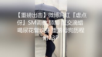 路边公厕全景偷拍多位美女嘘嘘各种美鲍轮番上场