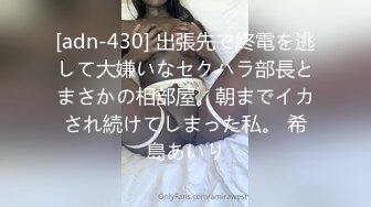 [adn-430] 出張先で終電を逃して大嫌いなセクハラ部長とまさかの相部屋。朝までイカされ続けてしまった私。 希島あいり